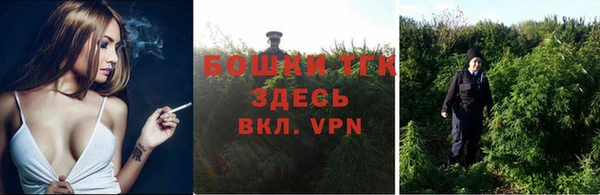 твердый Бронницы