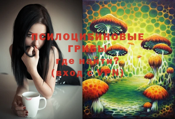 Альфа ПВП Бугульма