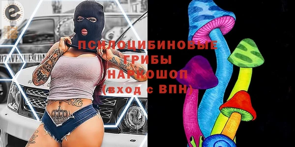прущие грибы Богородск